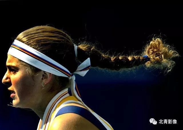 在去年的一 在去年的一